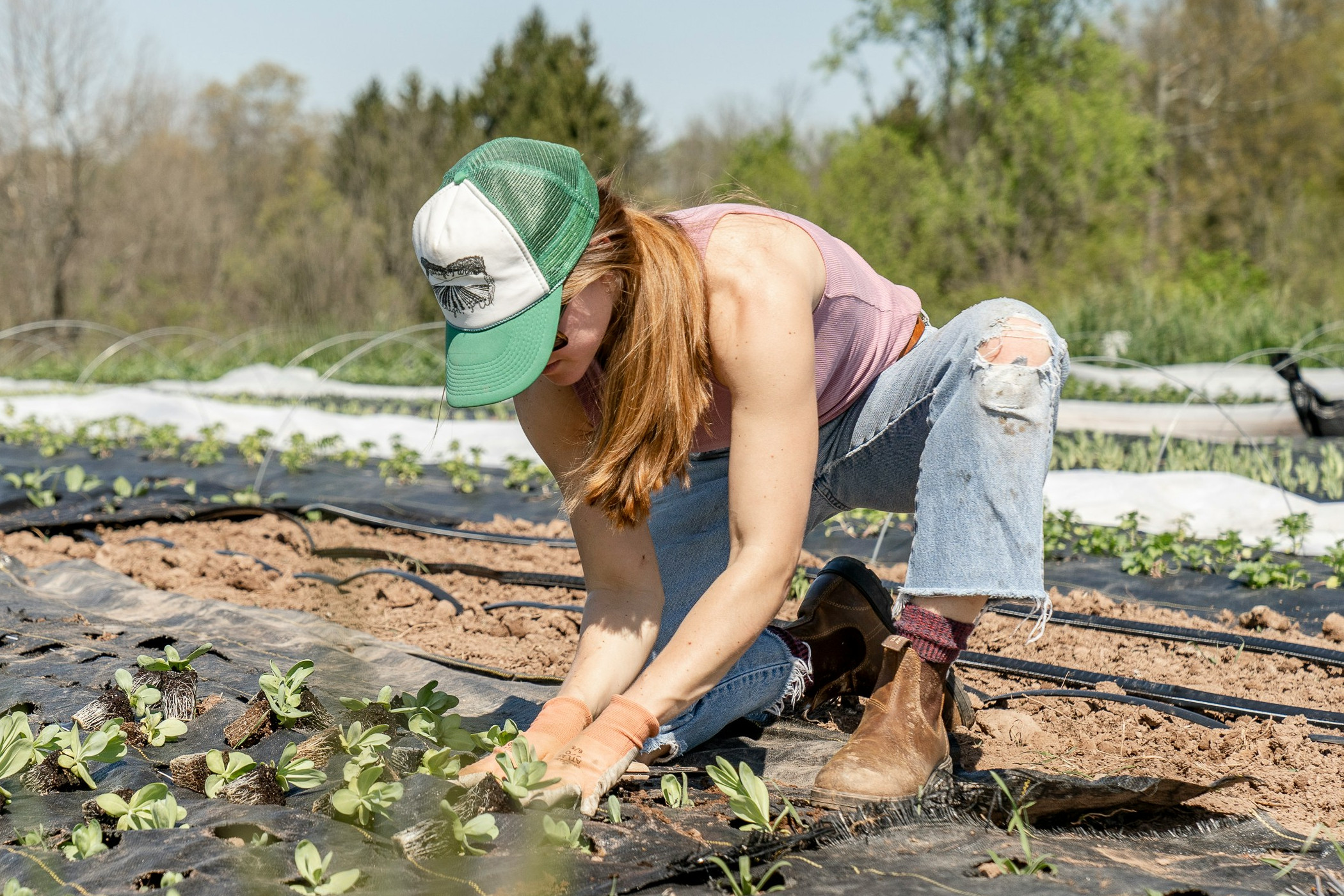 farmer image
